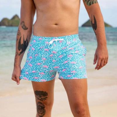 China Plus Size 2022 New Style Summer Shorts Baby Blue Pink Printed Surf Board Shorts Striping Nylon Shorts for sale