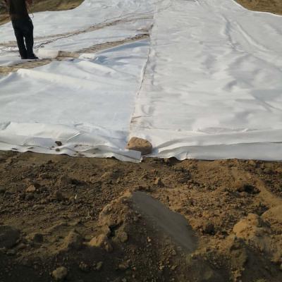 Κίνα LDPE Geomembrane 1.5mm που τοποθετείται σε στρώματα με τη διάτρηση μη υφανθε'ν σύνθετο Geomembrane βελόνων ινών 300gsm PET για αδιάβροχο προς πώληση