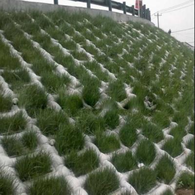 China Concrete Revetment Mattress 15cm thick for River Bank Permanent Erosion Control for sale