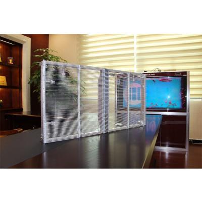 China Indoor/Outdoor/Semi-Outdoor Electronic Transparent Racks LED Window LED Poster Display for sale