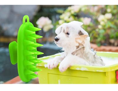 China 2020 Viable Newest Design Silicone Pet Fur Hair Remover Brush Reusable Removal Brush For Dog Cat for sale