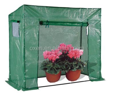 China Easily Assembled Walk In Greenhouse / Green House Small Green House Garden for sale