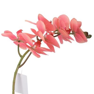 China Real Latex Handcraft Artificial Flowers Fake Orchid Phalaenopsis Touch Latex For Decoration Home Wedding for sale