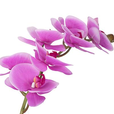 China Latex HongHua touch latex real handcraft artificial orchid flower for wedding decor 8 heads decoration flower phalaenopsis for sale