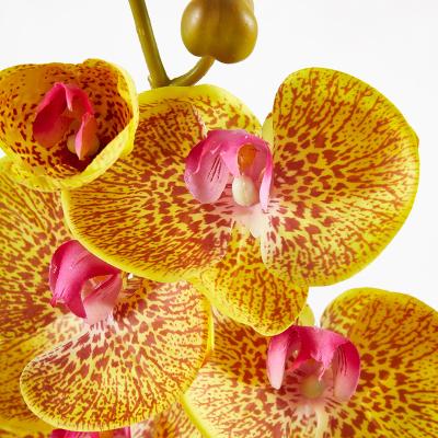 China Wholesale Real Fake Silicone Phalaenopsis Orchids Artificial White Latex Flower Touch Butterfly Orchid Stem for wedding deco for sale