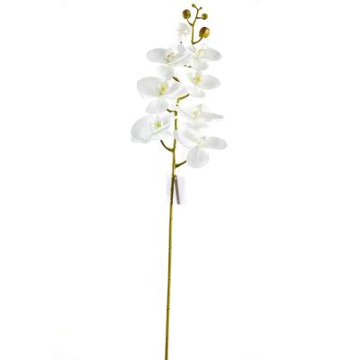 China Real Touch Latex Orchid Phalaenopsis Latex Real Touch Flowers Artificial Stem Bouquets For Wedding Party Garden Decor for sale