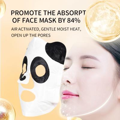 Chine Masque à vapeur personnalisable à vendre