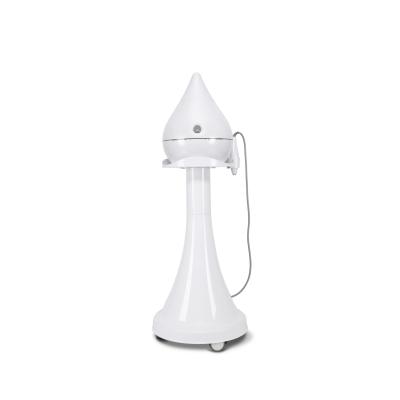 China Portable Ultrasonic Light Skin Revitalizer Photon Beauty Fine Wrinkles Enhancement Skin Rejuvenation Facial Moisturizer for sale