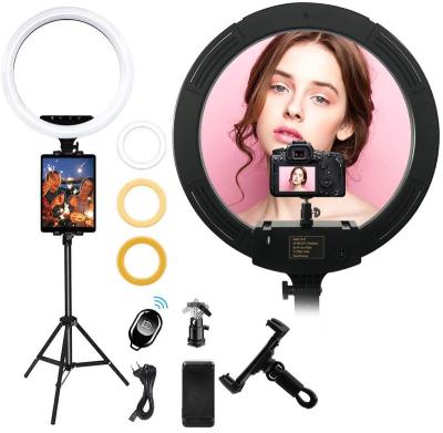 China Visual Shooting 18 Inch Ring Light with Stand Dimmable LED Ring Light with Carry Bag Lighting for Live Stream /Makeup/Video/Camera/YouTube for sale