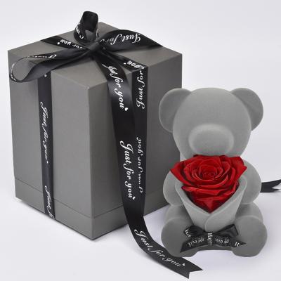 China Flower Flocking Teddy Bear Eternal Rose Preserved Flower Eternal Flower Gift Box With Music for sale