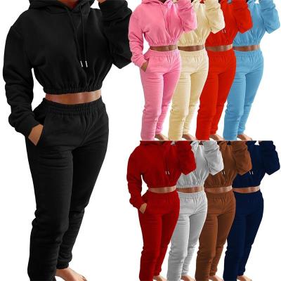 China Custom Logo Crop Top QUICK DRY 2 Piece Sets Women Tracksuit Tracksuit Two Piece Outfits Set Sweatsuit Track Pants And Hoodie Set for sale