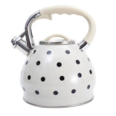 China Viable Stainless Steel Whistling Kettle One Piece Spray Paint Kettle Open Lid for sale