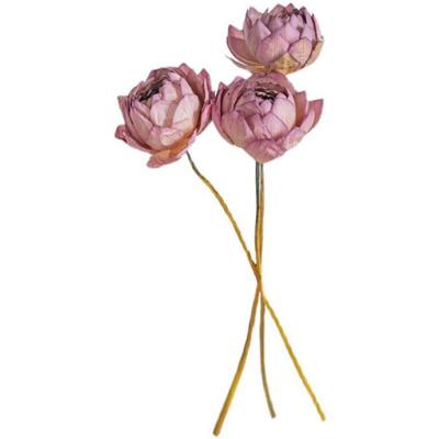 China New Style Sachet Favorable Price Dried Pressed Flower Art Artificial Flowers Cheap Natural Dry Flora for sale