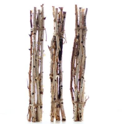 China 2022 Design New Dried Birch Dried Flowers Wigs Wood Bundled Dried Flowers for sale