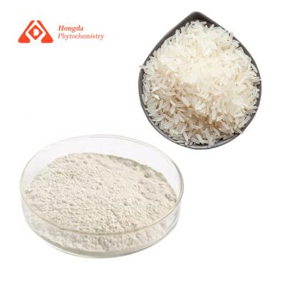 China Food Grade Pure Plant Extract Natural Rice Protein Powder 80% for sale