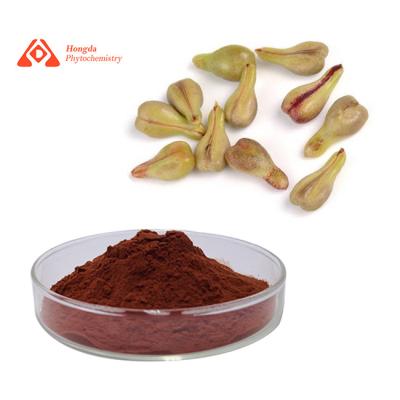 China Food Grade Anti Oxidant Ingredients Natural Grape Seed Extract 95% Anthocyanin Powder for sale