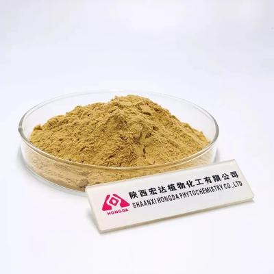 Chine Conserver à froid la poudre de Hericium erinaceus pour les personnes souffrant de troubles digestifs à vendre