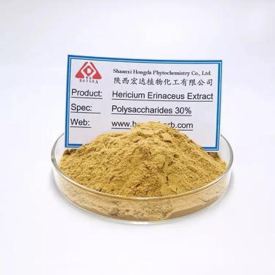 China Lion Mane Mushroom Pure Plant Extract-Nahrungsmittelgrad Hericium-Erinaceus-Auszug zu verkaufen