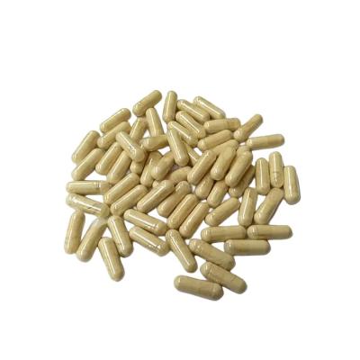 China Capsulas de extracto de 30% de Hericium Erinaceus natural de HONGDA en venta