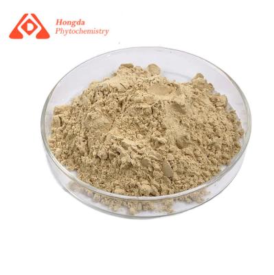 China Forma natural almacenada lugar fresco seco del polvo del extracto del ginseng para el uso de B2B en venta