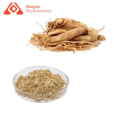 Chine Poudre de fines herbes pure d'extrait de ginseng avec l'odeur naturelle de Ginsenosides à vendre