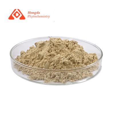 Chine Poudre organique naturelle saine d'extrait de ginseng avec la cendre ≤5% en vente à vendre