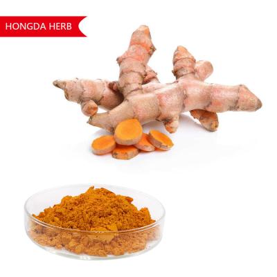 China Pure plantenextract Curcuma longa poeder 95% HPLC Antioxidant en ontstekingsremmend Te koop