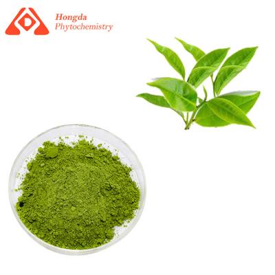 Cina Il tè verde organico Matcha spolverizza il grado cerimoniale Matcha dell'etichetta privata in vendita