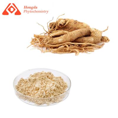 China Polvo orgánico herbario inflamatorio anti del ginseng con la ceniza el ≤5% de Ginsenosides en venta