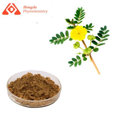 Cina Estratto puro di Terrestris del Tribulus delle saponine 70% 80% 90% dell'estratto della pianta di CAS 90131-68-3 in vendita