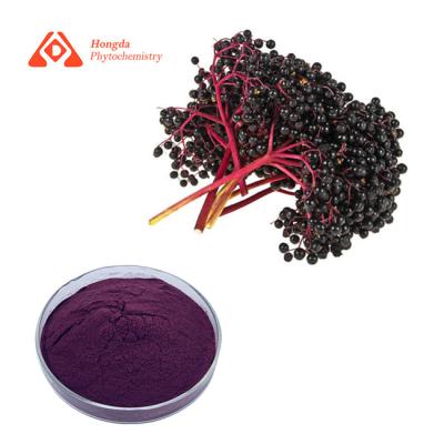 Китай Выдержка черного Elderberry пудрит антоцианины 25% для иммунного увеличения продается