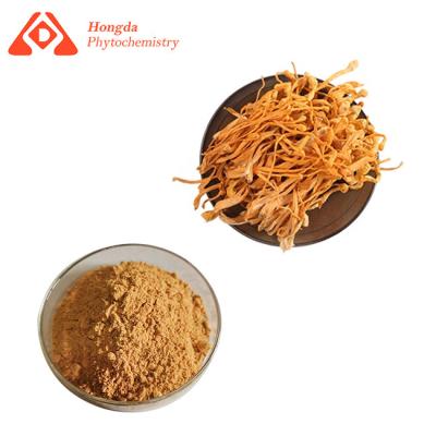 China Antikrebs Cordyceps extrahieren Adenosin 1% 8% 98% Pulver CASs 73-03-0 Cordycepin zu verkaufen