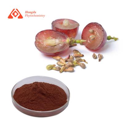 China UV Method Anti Oxidant Ingredients Grape Seed Extract Powder 95%OPC for sale