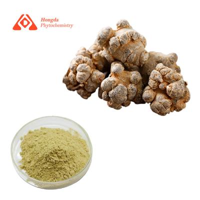 China Empaquetado del tambor del extracto de 80 Mesh Pure Natural Panax Notoginseng en venta