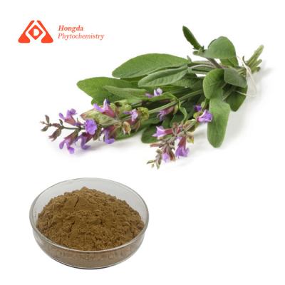 China Salvia Officinalis Extract antioxidante el 15% Carnosic CAS ácido 3650-09-7 en venta