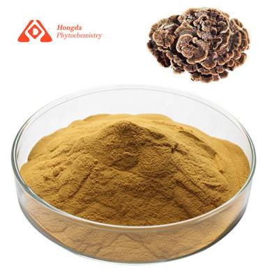 China Organic Coriolus Versicolor Extract Anti Cancer Turkey Tail Extract Polysaccharide 30% for sale