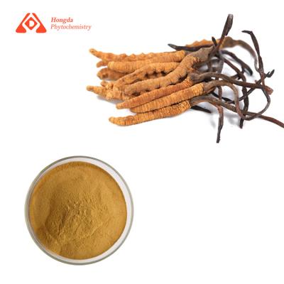 China Pure Natural Cordyceps Militaris Extract Health Supplement for sale