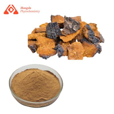 Chine L'extrait naturel de champignon de Chaga saupoudrent l'extrait Obliquus d'Inonotus de polysaccharides de 30% à vendre