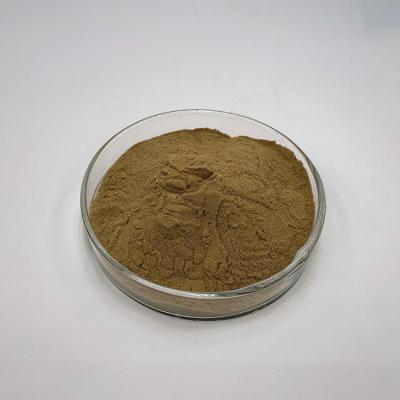 Chine Poudre d'extrait de Mane Mushroom Powder Hericium Erinaceus de lions de polysaccharide de 30% à vendre