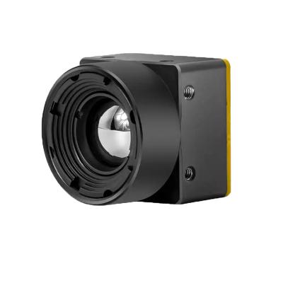 China Uncooled Infrared Thermal Module 256*192 Core Mini Camera Infrared Thermal Imaging High Resolution 21*21mm Thermal Imaging Camera Module for sale