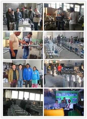 Fornitore cinese verificato - Hailian Packaging Equipment Co.,Ltd