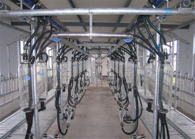 China HL-G01 Dairy Farming 2x12 Goat Milking Parlor System with 6L Glass Milk Jar for sale