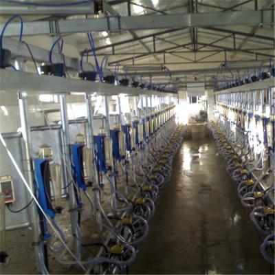 China HL-G2 Herringbone Structure Milking Parlor for 300 Cows with CE ISO SGS FDA Certification for sale