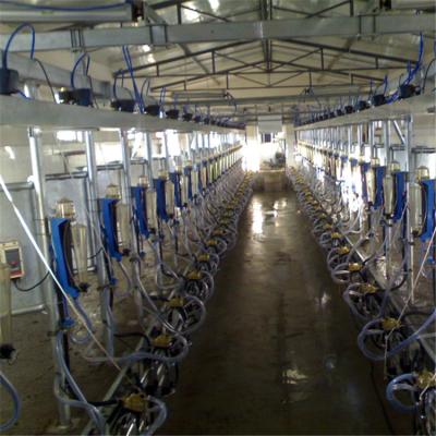 China Automatic Milking System with Herringbone Structure and Waikato Milk Meter for Dairy Cows - CE, ISO, SGS, FDA Certified for sale