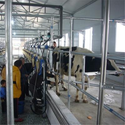 China Herringbone Structure Cow Milking Machine with Waikato Milk Meter and CE ISO SGS FDA Certification for sale