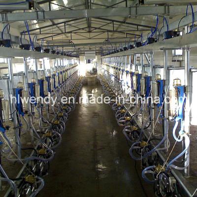 China Dairy Cow Milking Parlor Equipment with Herringbone Layout Automatic Cup Remover and ISO Specification Mobile Milking Machine for sale