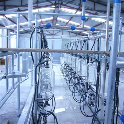 China HL-G1 Herringbone Structure Milking Parlor with Glass Milk Meter CE ISO SGS FDA Certified for sale