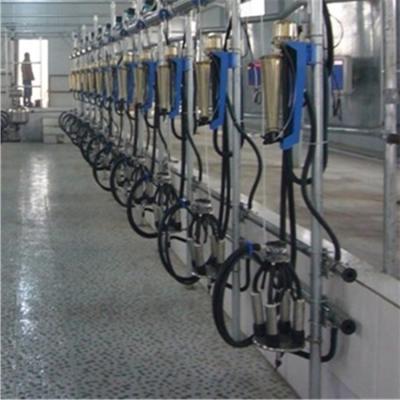 China Automatic Milking Parlor System with ACR Automatic Cluster Remover and Waikato Milk Meter in Herringbone Structure for sale