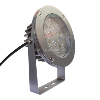 China Cool white/pure white aluminum alloy/warm white color temperature (CCT) and LED light source garden floodlight for sale