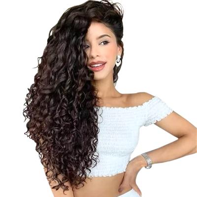 China Can be best quality dyed HD lace frontal wig human hair 100 unprocessed Brazilian water wave hair for sale